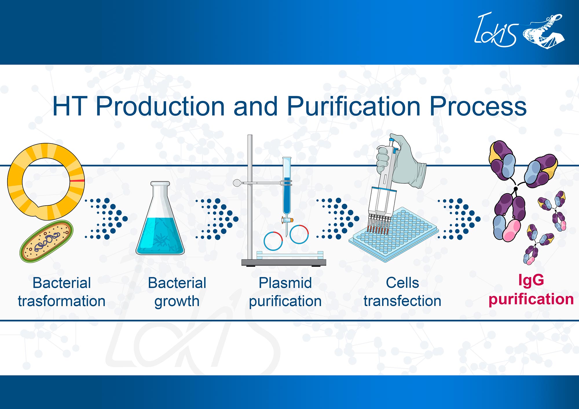 HT Production and Purification Process