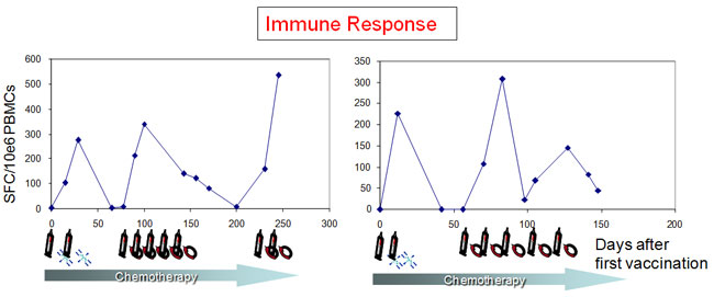 immune response graph1 650
